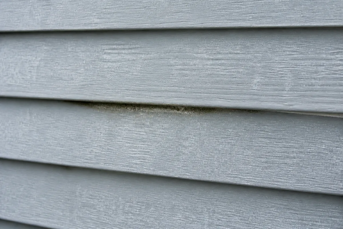 Illustration of chalky oxidation and localized surface growth on vinyl siding
