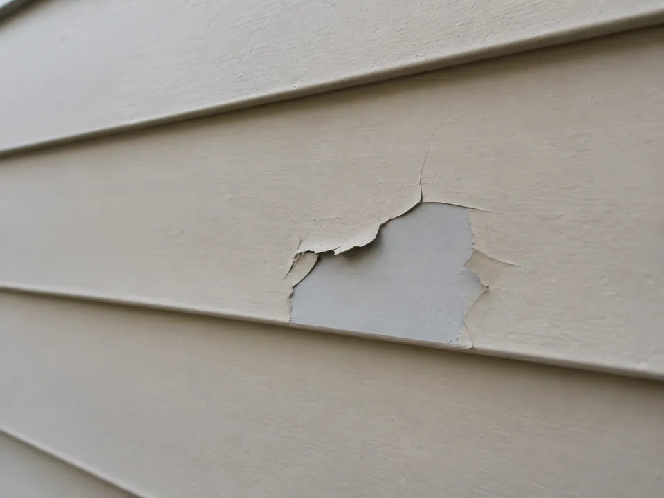 Localized peeling repaint coating exposing the intact factory finish on aluminum siding